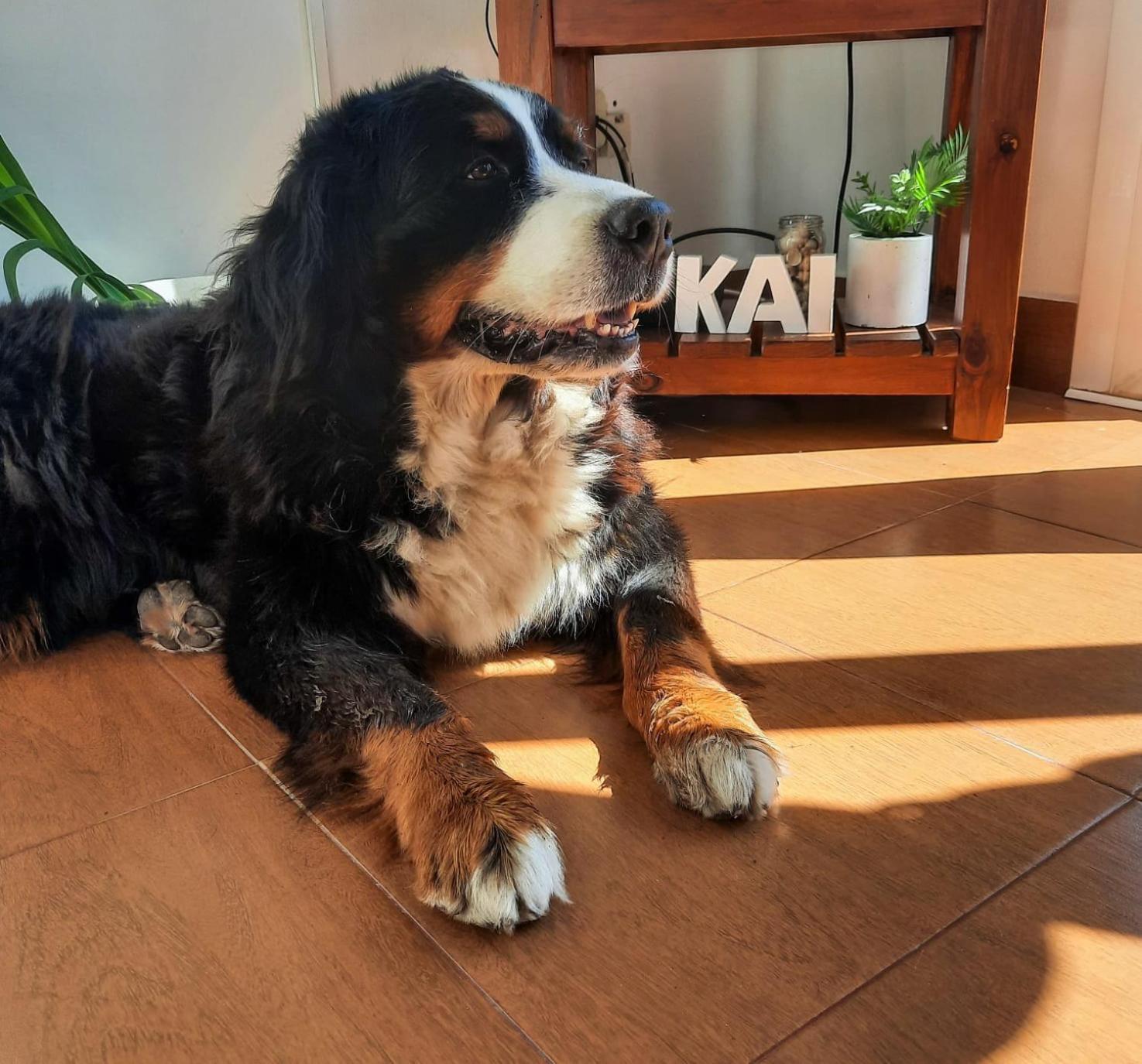 Casa Kai Mar De Pampas Сasa de vacaciones